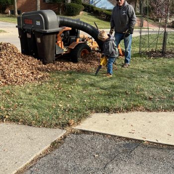 Leaf maintenance completed by Customer Care Lawn Service. Picture on The Local Hub Iowa City