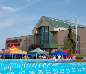 DockDogs at Scheels The Local Hub Iowa City