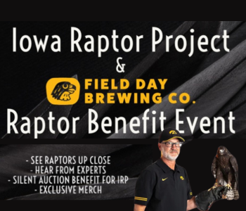 Iowa Raptor Fundraiser at Field Day The Local Hub Iowa City