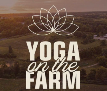 Yoga on the farm at Wilsons Orchard The Local Hub Iowa City