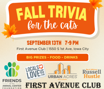 Fall Trivia Night for the cats The Local Hub Iowa City