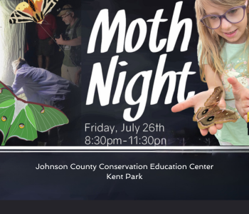 Johnson County Conservation Moth Night The Local Hub Iowa City