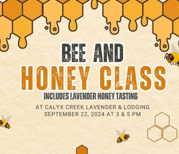 Bees and Honey Class The Local Hub Iowa City