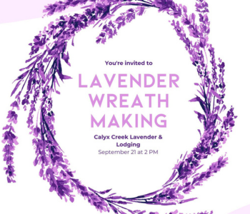 Lavender Wreath Workshop The Local Hub Iowa City