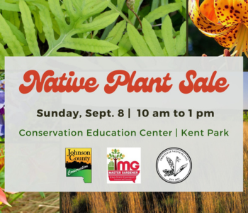 Native Plant Sale The Local Hub Iowa City