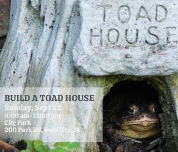 Build a Toad House The Local Hub Iowa City