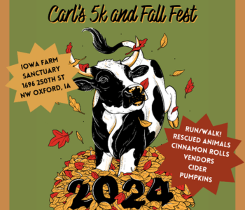 Carl’s 5K and Fall Fest at the Iowa Farm Sanctuary. The Local Hub Iowa City