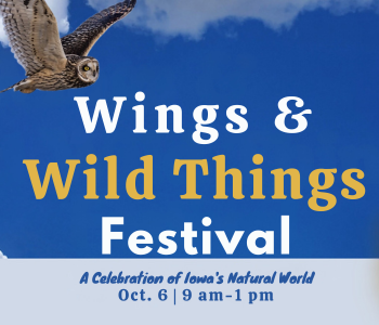 Wings and Wild Things Festival. The Local Hub Iowa City