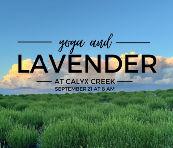 Yoga and Lavender The Local Hub Iowa City