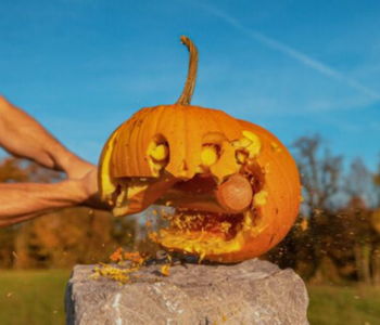 Pumpkin Smash at Colony Acres. The Local Hub Iowa City