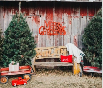 Tree Fest at Colony Acres. The Local Hub Iowa City