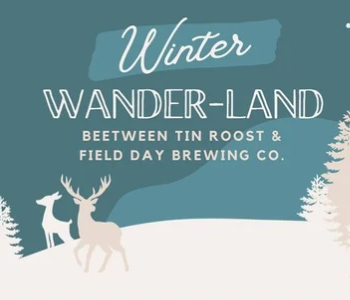 Winter Wander-land between Tin Roost and Field Day Brewing Co. The Local Hub Iowa City