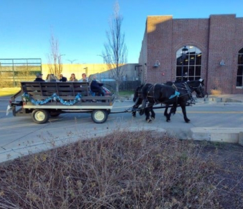 Winterfest Horse Drawn Wagon Rides. Iowa River Landing. The Local Hub Iowa City