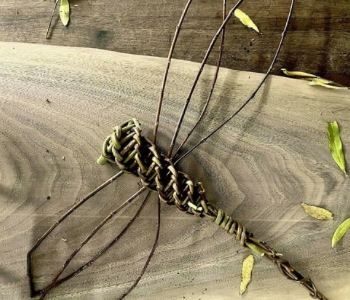 Willow dragonfly craft. Event on The Local Hub Iowa City