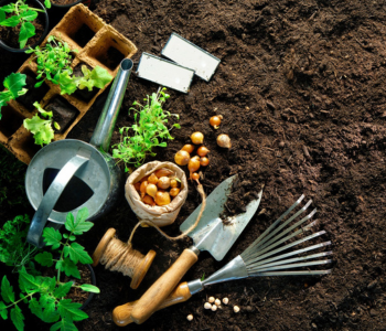 Grow Your Own Container Garden. Free event on The Local Hub Iowa City