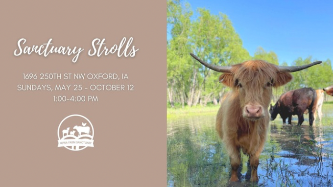 Iowa Farm Sanctuary Sunday Strolls. Event on The Local Hub Iowa City
